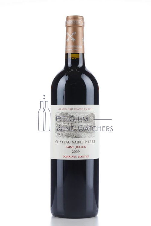 Picture of 2009 SAINT PIERRE
